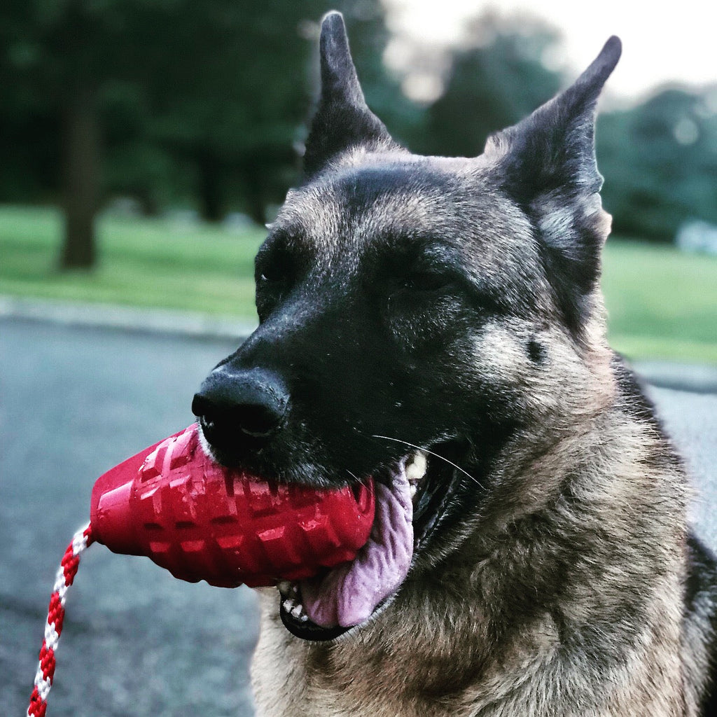 USA-K9 Grenade Shaped Rubber Dog Toy - Chew, Treat Dispenser & Tug Toy | USA