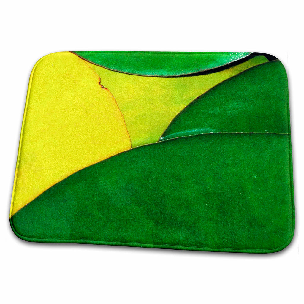 Dish Drying Mat - USA, Oregon, Water Lily Leaves, Oregon Dunes National Recreation Area Charles Gurche - Lilies