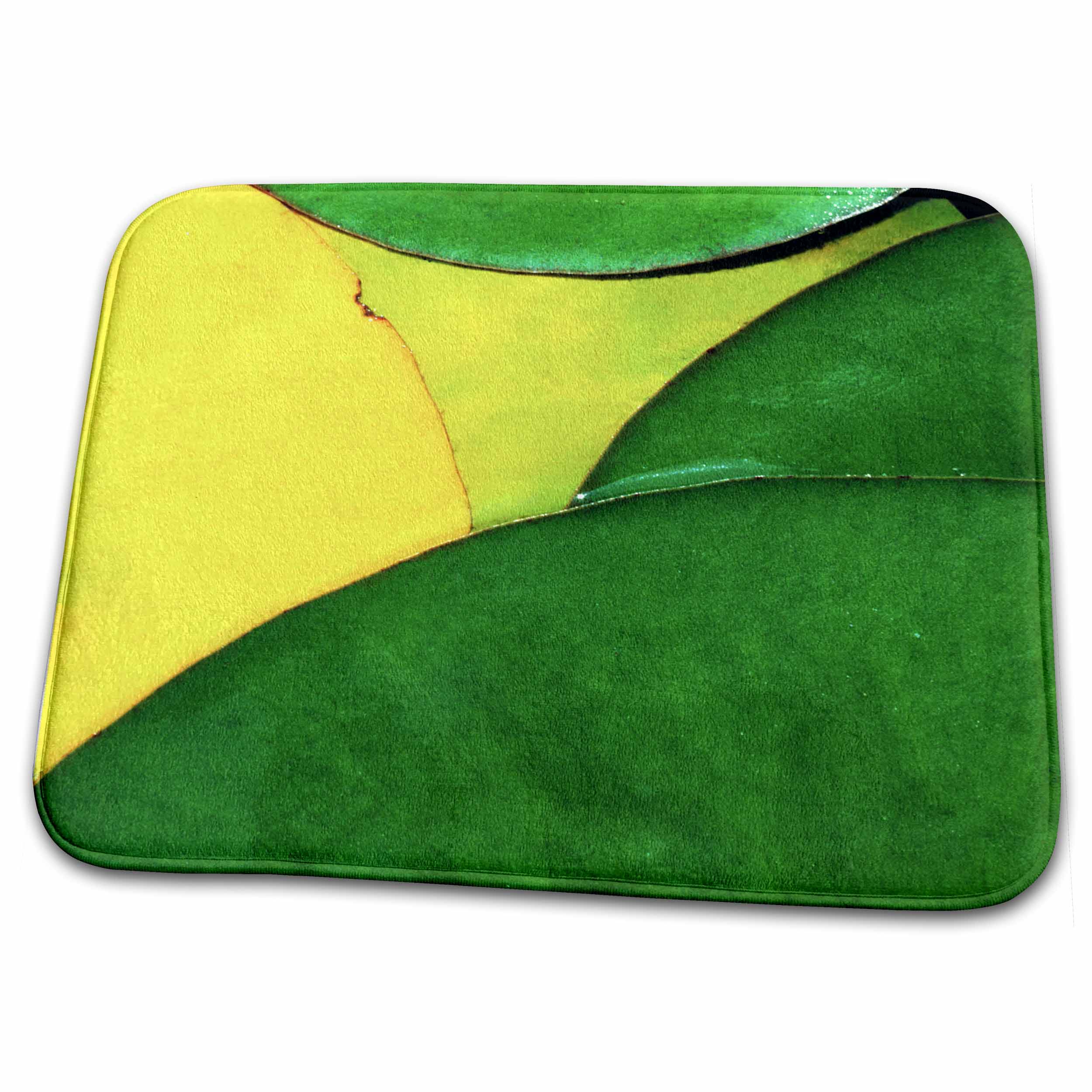 Dish Drying Mat - USA, Oregon, Water Lily Leaves, Oregon Dunes National Recreation Area Charles Gurche - Lilies