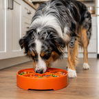 Great Outdoors eBowl - Slow Feeder Dog Bowl & Enrichment | USA Made