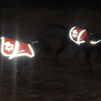Reflective Dog Vest Hi-Vis M Size 27.63 in Chest x 19 in Neck Blue