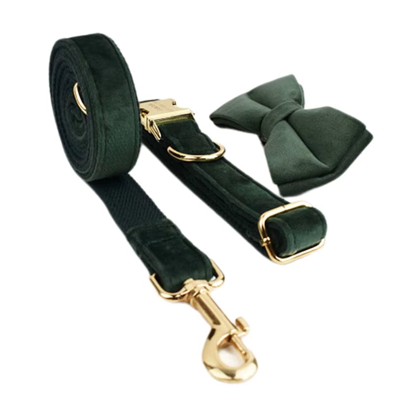Velvet Forest Teal Set