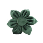 Velvet Forest Teal Set